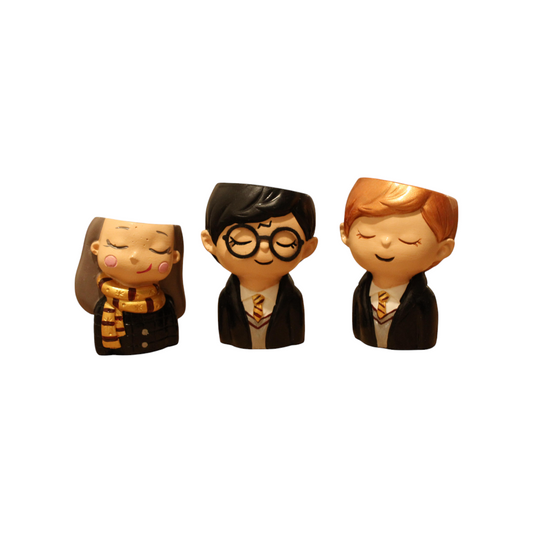 Maceteros Harry Potter RyW Maceteros 10 cm